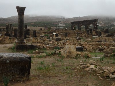 Volubilis (55)