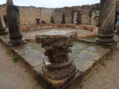 Volubilis (58)