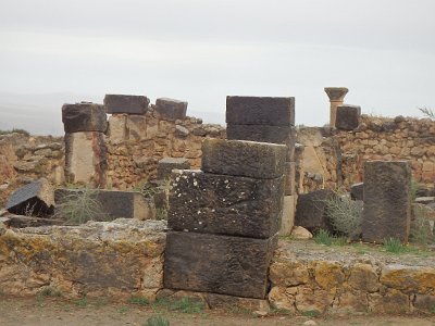 Volubilis (6)