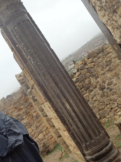 Volubilis (61)