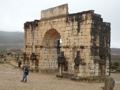 Volubilis (62)