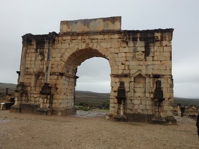 Volubilis (64)