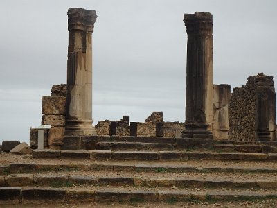 Volubilis (65)