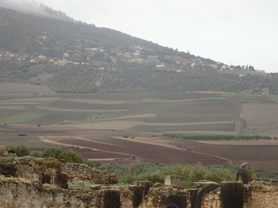 Volubilis (66)