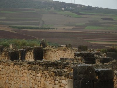 Volubilis (67)