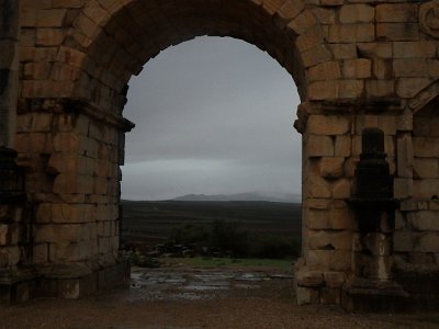 Volubilis (68)