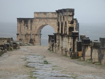 Volubilis (7)