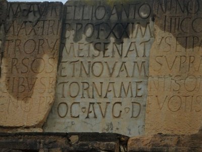 Volubilis (71)