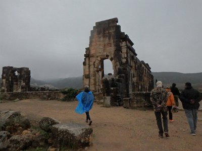 Volubilis (85)