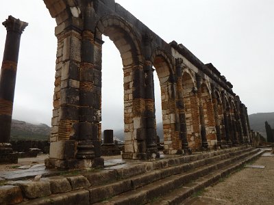 Volubilis (87)