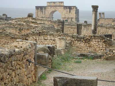 Volubilis (9)