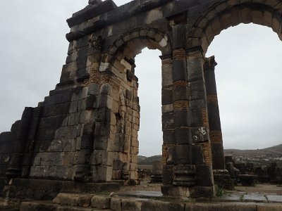 Volubilis (92)