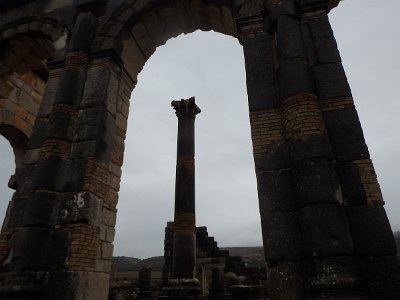 Volubilis (95)