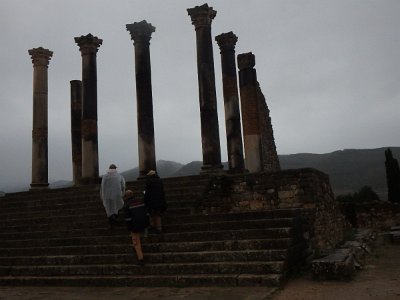 Volubilis (98)