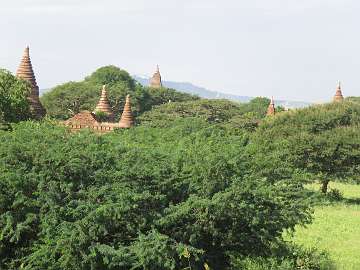 bagan2a (23)