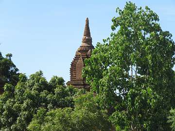 bagan3b (24)