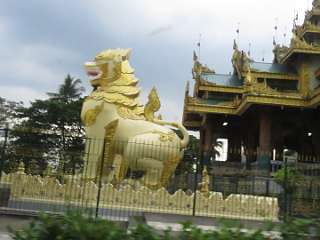 Yangon 1111 (213)