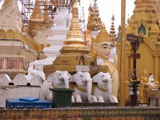 Yangon 1111 (73)