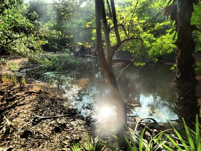 Auroville (12)