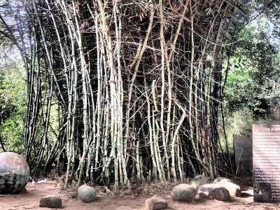 Auroville (23)