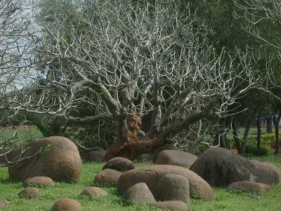 Auroville (43)