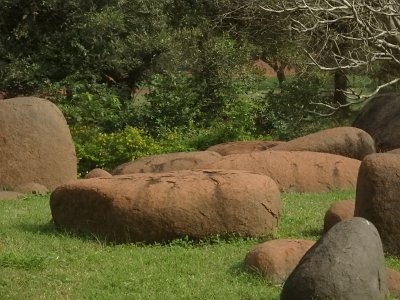 Auroville (44)