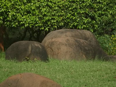 Auroville (46)