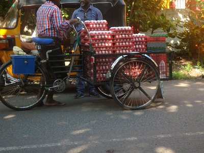 PondiCherryFrench (26)