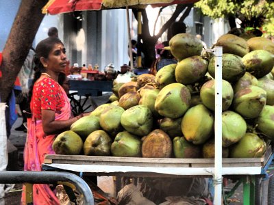 PondiCherryFrench (68)