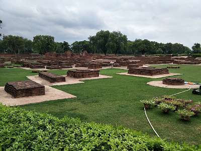 sarnath18f (5)