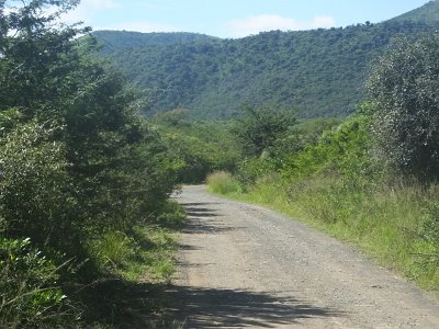 HIgameReserve (102)