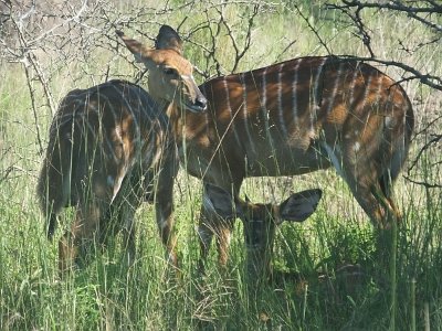 HIgameReserve (105)