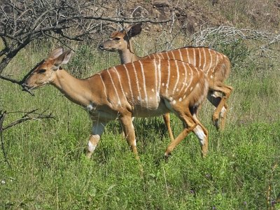 HIgameReserve (107)