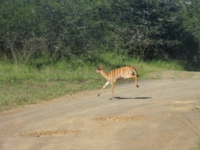 HIgameReserve (108)