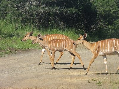 HIgameReserve (109)