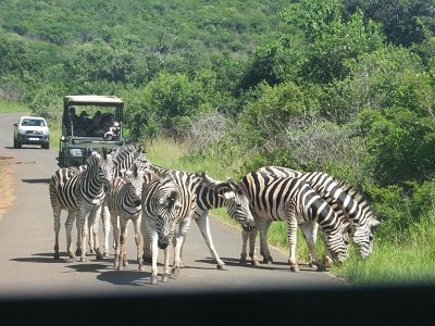 HIgameReserve (112)