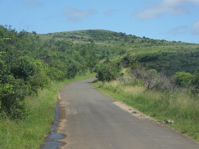 HIgameReserve (116)