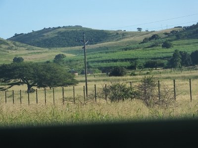 HIgameReserve (13)