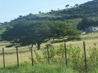 HIgameReserve (16)