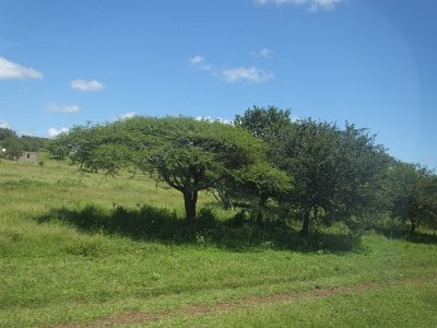 HIgameReserve (170)