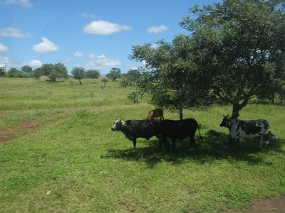 HIgameReserve (171)