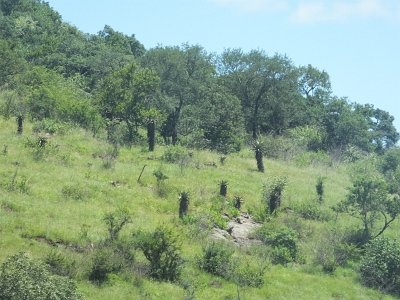 HIgameReserve (173)