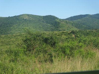 HIgameReserve (24)