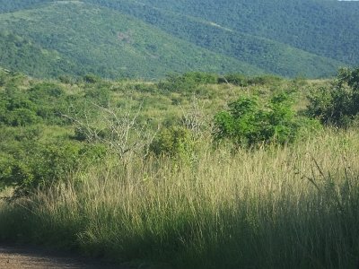 HIgameReserve (25)