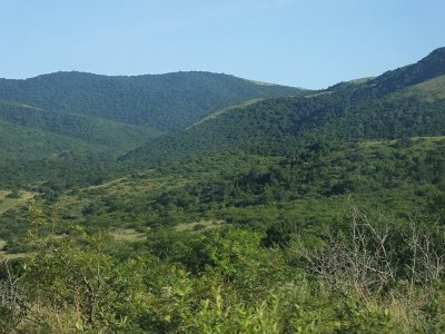 HIgameReserve (26)