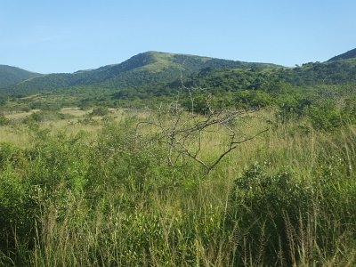 HIgameReserve (27)