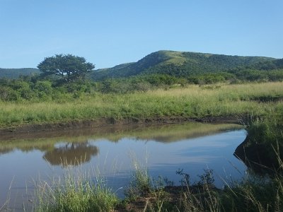 HIgameReserve (28)