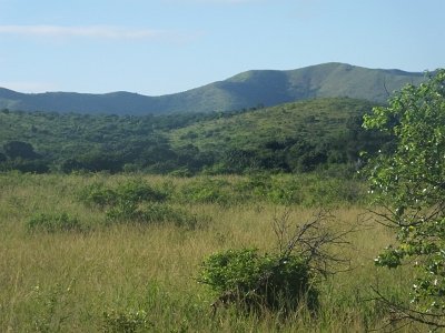 HIgameReserve (29)