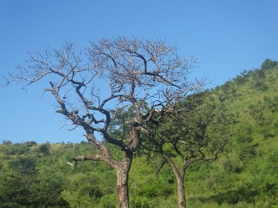 HIgameReserve (35)