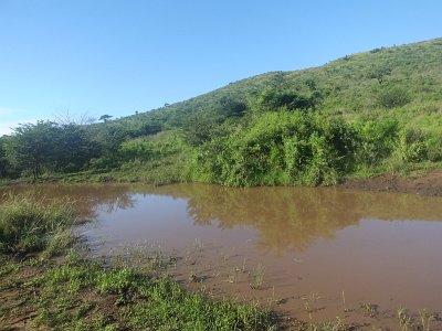 HIgameReserve (45)